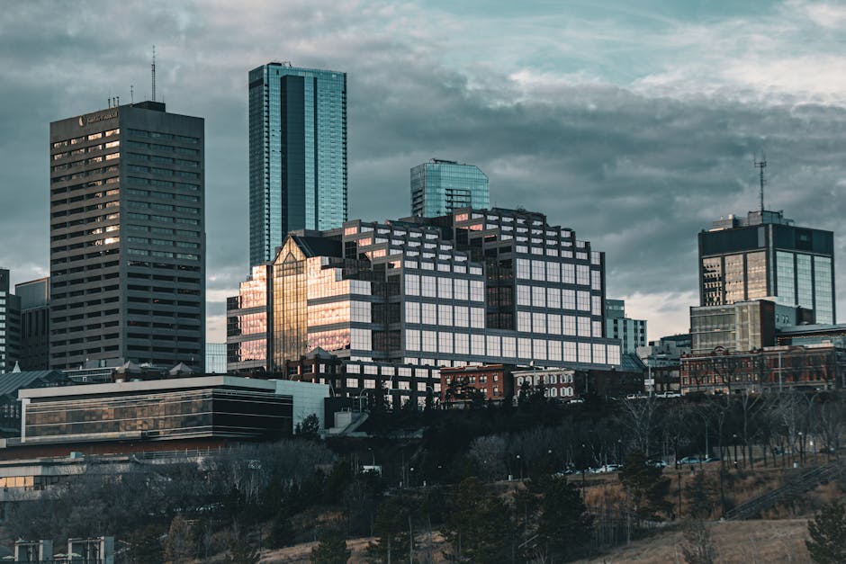 A city skyline featuring multiple commercial and office buildings of varying heights, with the tallest modern glass skyscraper situated centrally. The buildings are predominantly made of glass and concrete, reflecting the cloudy sky above during the late afternoon or early evening. The foreground shows a tree-lined street with some low-rise structures and open spaces, indicating an urban environment with ongoing or recent home relocation and furniture transport activities. This setting highlights the logistical aspects of house removals, as trucks or vans from Man with Van Edmonton could be loading or unloading near the buildings, with the potential for packing and moving processes occurring within the nearby properties. The lighting suggests a natural dusk ambiance, offering a clear view of the city's architectural details, and subtly emphasizing the importance of efficient loading processes for fast removals in Edmonton.