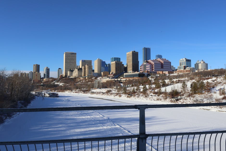 A clear winter day with bright blue skies over a snow-covered landscape in Edmonton, displaying a view of the city skyline with tall office buildings and residential high-rises. In the foreground, a metal railing lines the edge of a frozen river or pond, with visible tracks and footprints in the snow. To the left, leafless trees are partially obscured by the snow, and in the middle distance, there are structures, possibly docks or small sheds, near the water's edge. The scene captures the outdoor environment where home relocation services by Man with Van Edmonton may involve outdoor loading and transportation preparations during winter, with the urban skyline providing contextual relevance to house removals and furniture transport in the city.